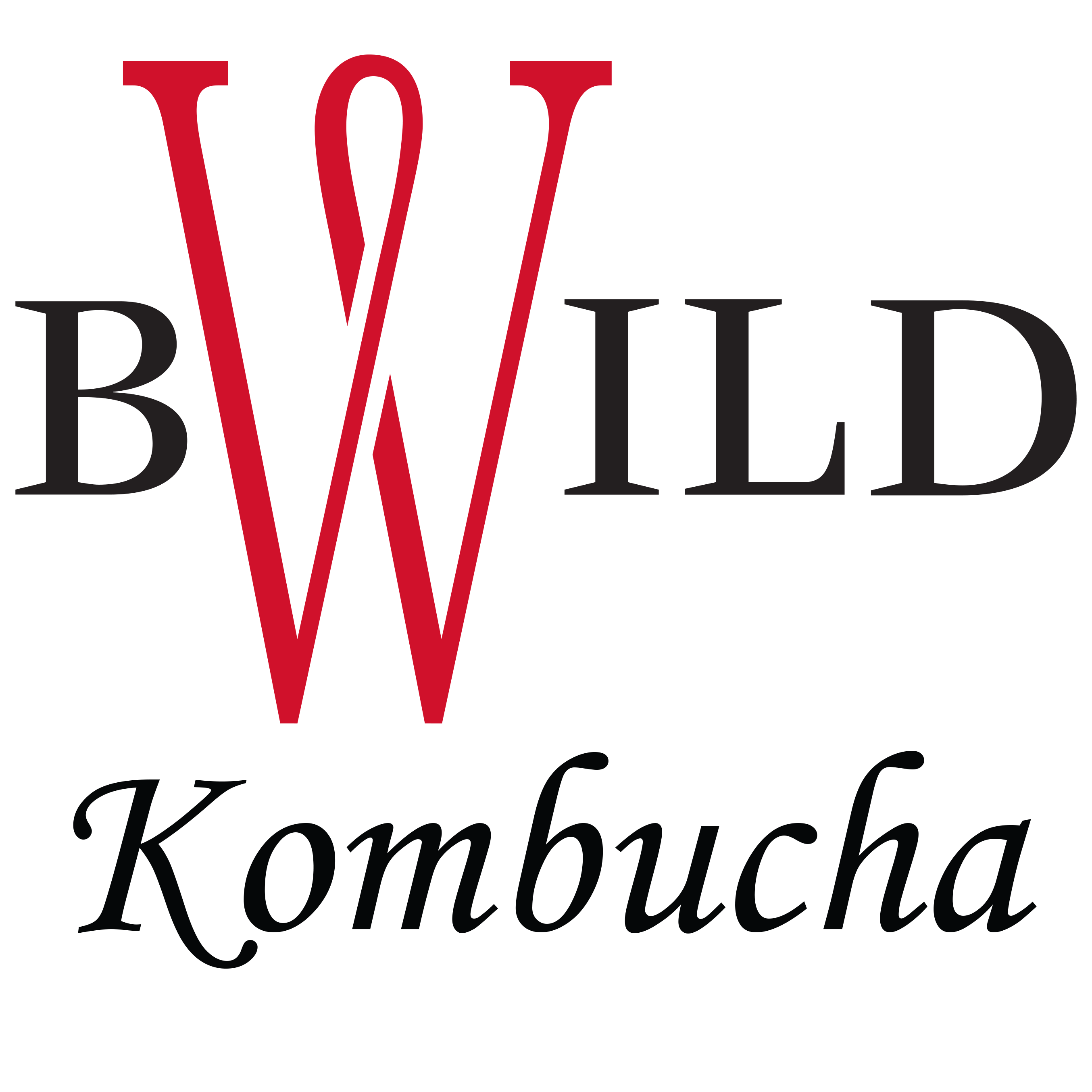 BWild Kombucha